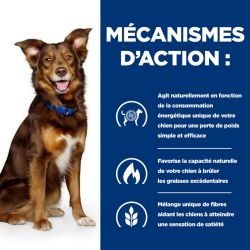 Chien Metabolic Boeuf Boîte