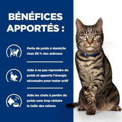 Chat Metabolic Poulet
