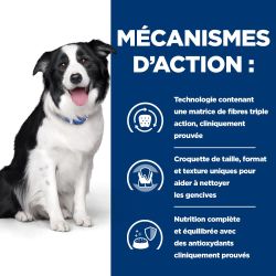 Chien T/D Dental Poulet