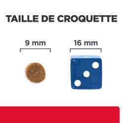 Chat Gastrointestinal Biome Stress Poulet