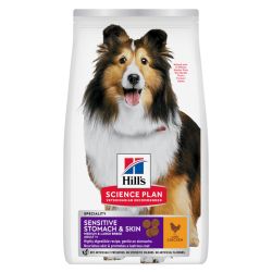 Chien Adult Medium...