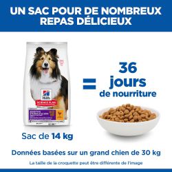 Chien Adult Medium Sensitive Stomach&Skin Poulet