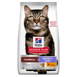 Chat Adult Hairball &...