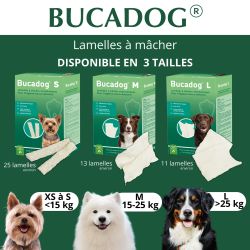 Soin et Hygiène dentaire pour chien en 3 tailles : S, M, L.