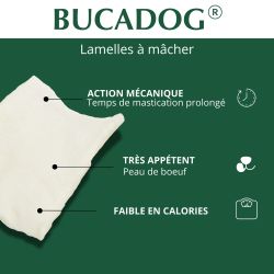 Bénéfices lamelle à mâcher pour soin dentaire chien.