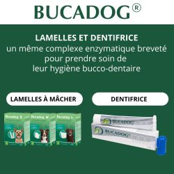 Soin dentaire pour chien Osalia en lamelles et Dentifrice.