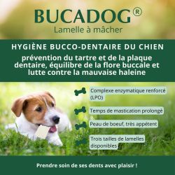 Lamelle à mâcher dentaire chien, BUCADOG friandise pour chien.