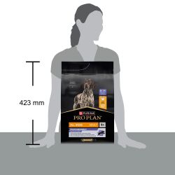 All Sizes Adult Dog Protein & Energy - Croquette chien au poulet | PURINA PRO PLAN