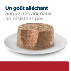 Hill's Prescription Diet sous forme de mousse à un goût alléchant auquel le chat ne résiste pas