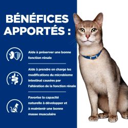 Bénéfices apportés par la mousse Hill's Prescription Diet Kidney Care au saumon