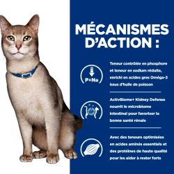 Mécanismes d'actions de la mousse Hill's Prescription Diet Kidney care au saumon