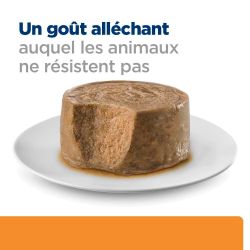 Hill's Prescription Diet sous forme de mousse à un goût alléchant auquel le chat ne résiste pas