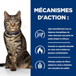 Mécanismes d'action pour la perte de poids : dépense énergétique, brûle les graisses excédentaires, sensation de satiété