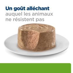 Hill's Prescription Diet sous forme de mousse à un goût alléchant auquel le chat ne résiste pas
