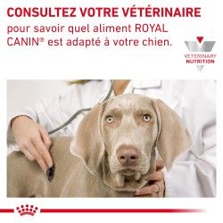 Message de consultation vétérinaire pour choisir un aliment diététique Royal Canin adapté au chien