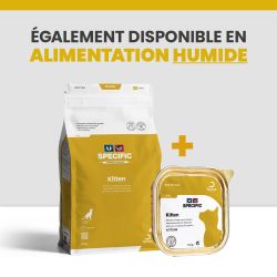 Alimentation sec et humide specific chaton