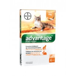 Advantage 40 Chat et Lapin de moins de 4 kg