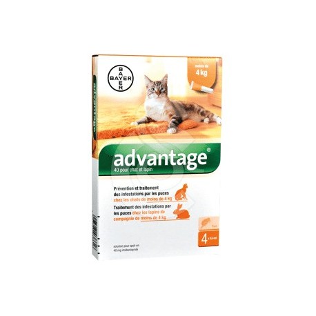 Advantage 40 Chat et Lapin de moins de 4 kg