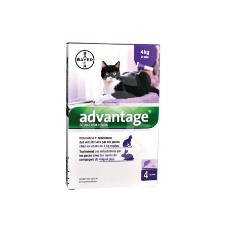 Advantage 80 Chat et Lapin de plus de 4 kg