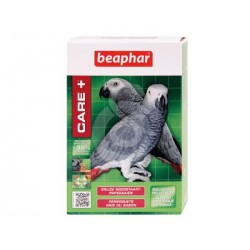 CARE + PERROQUETS GRIS DU...
