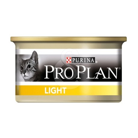 Cat light Turkey