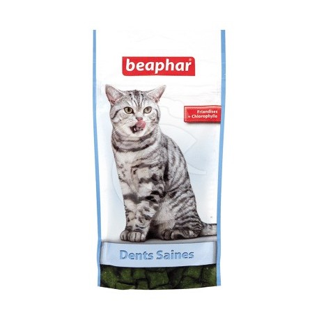 Friandises "Dents Saines" pour chat