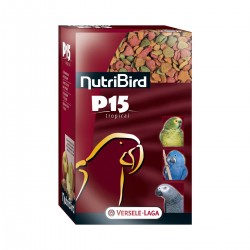 Perroquet Nutribird P15...