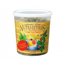 Nutri-Berries classic cockatiel