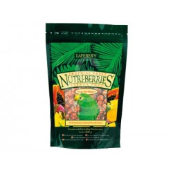 Nutri-Berries tropical fruit parrot