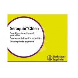 Seraquin Chien