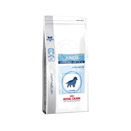 VET CARE NUTRITION JUNIOR LARGE DOG
