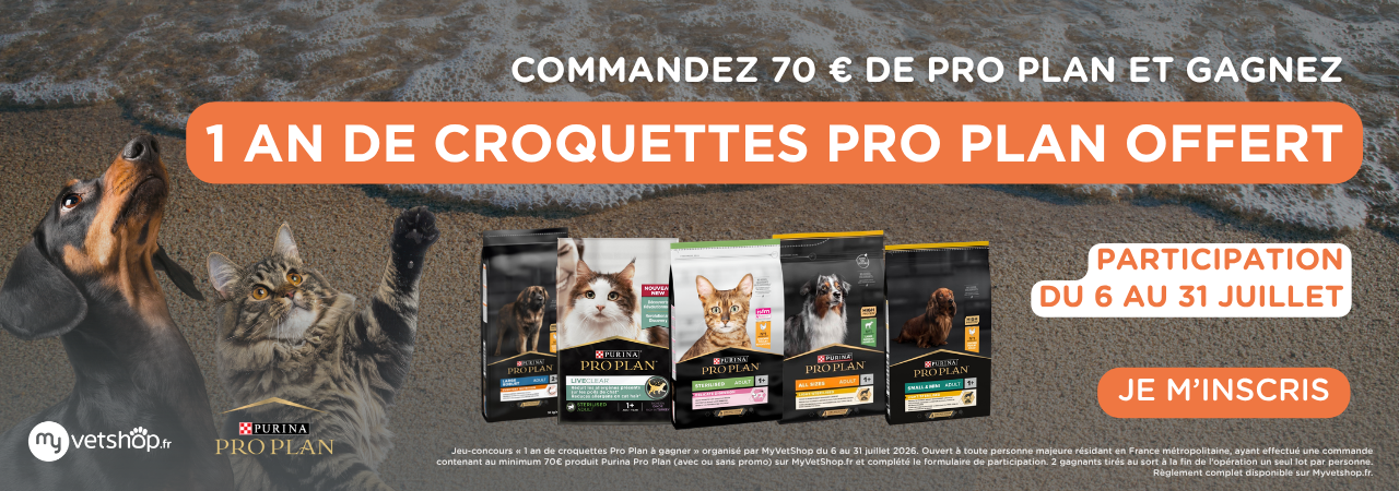 Jeux concours