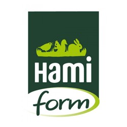 HAMI FORM SARL SOCEC