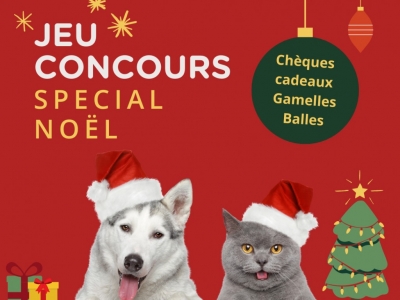 Participez au jeu concours Myvetshop fête Noël !