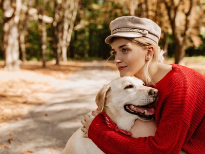 Stérilisation du chien mâle : tenir compte de son mode de vie