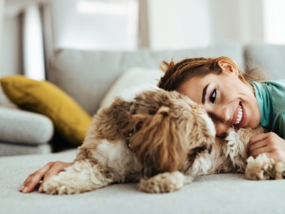 Confort digestif du chien et du chat