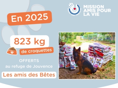 Mission Amis Pour La Vie 2026