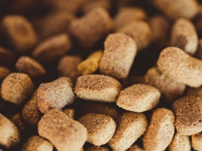 Nutrition light et nutrition pour la perte de poids : est-ce la même chose ? 